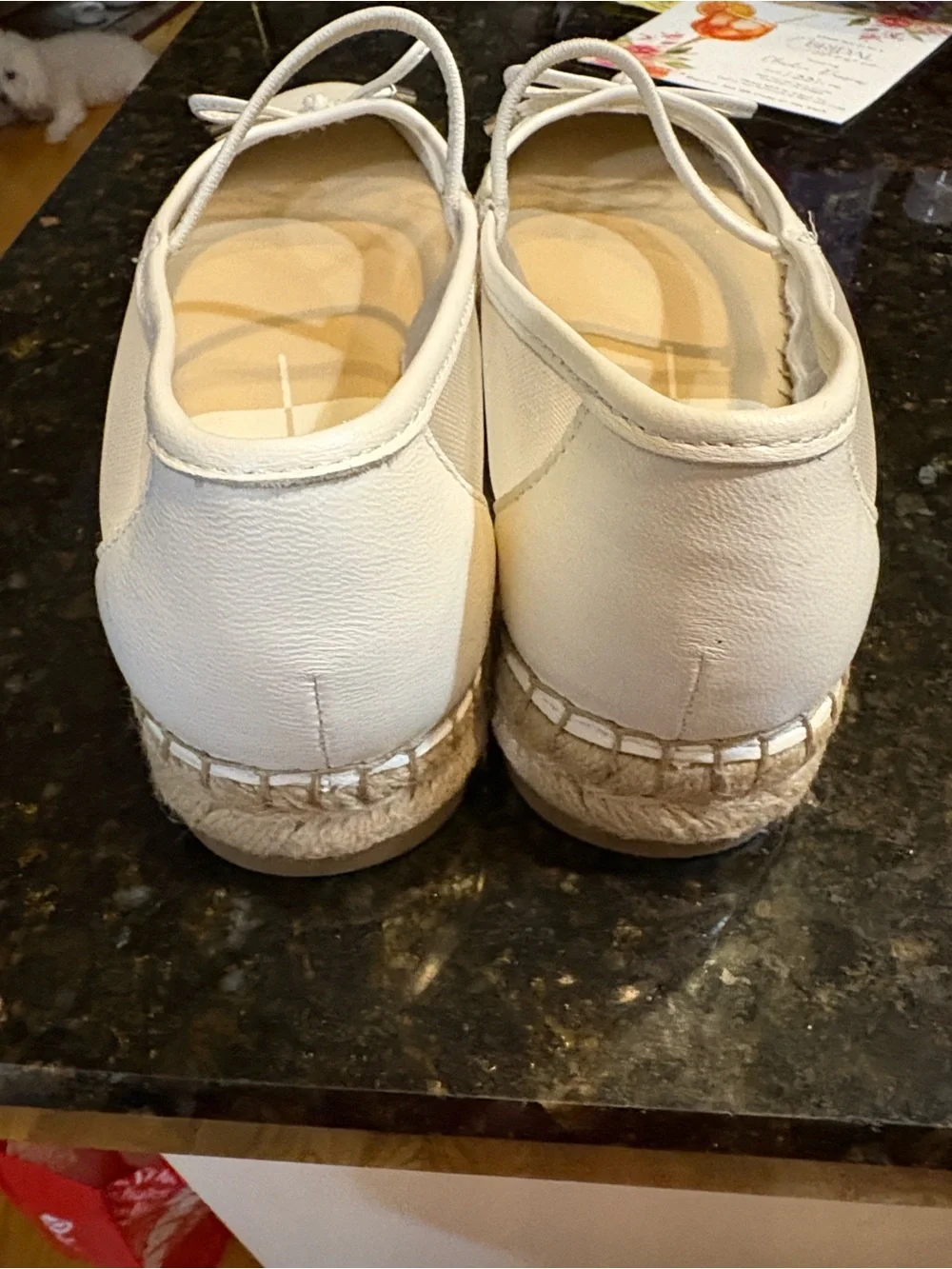 DOLCE VITA Cambre Ballet NWOT size 8